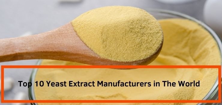 Los 10 principales fabricantes de extracto de levadura del mundo