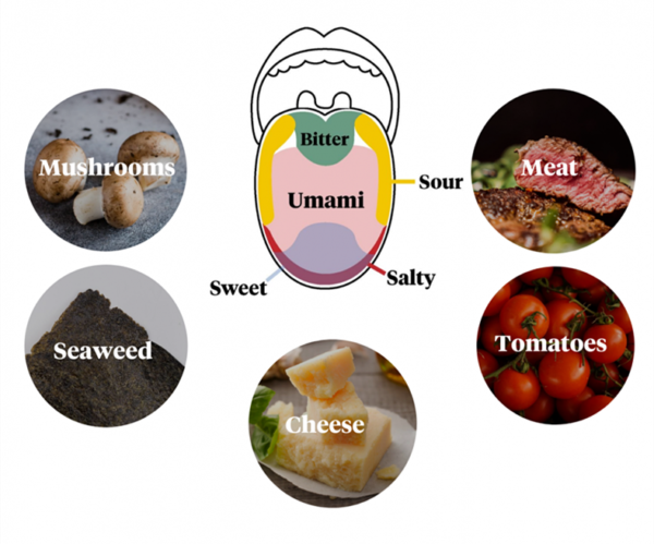 What is umami? Five facts about umami - Hiyeast