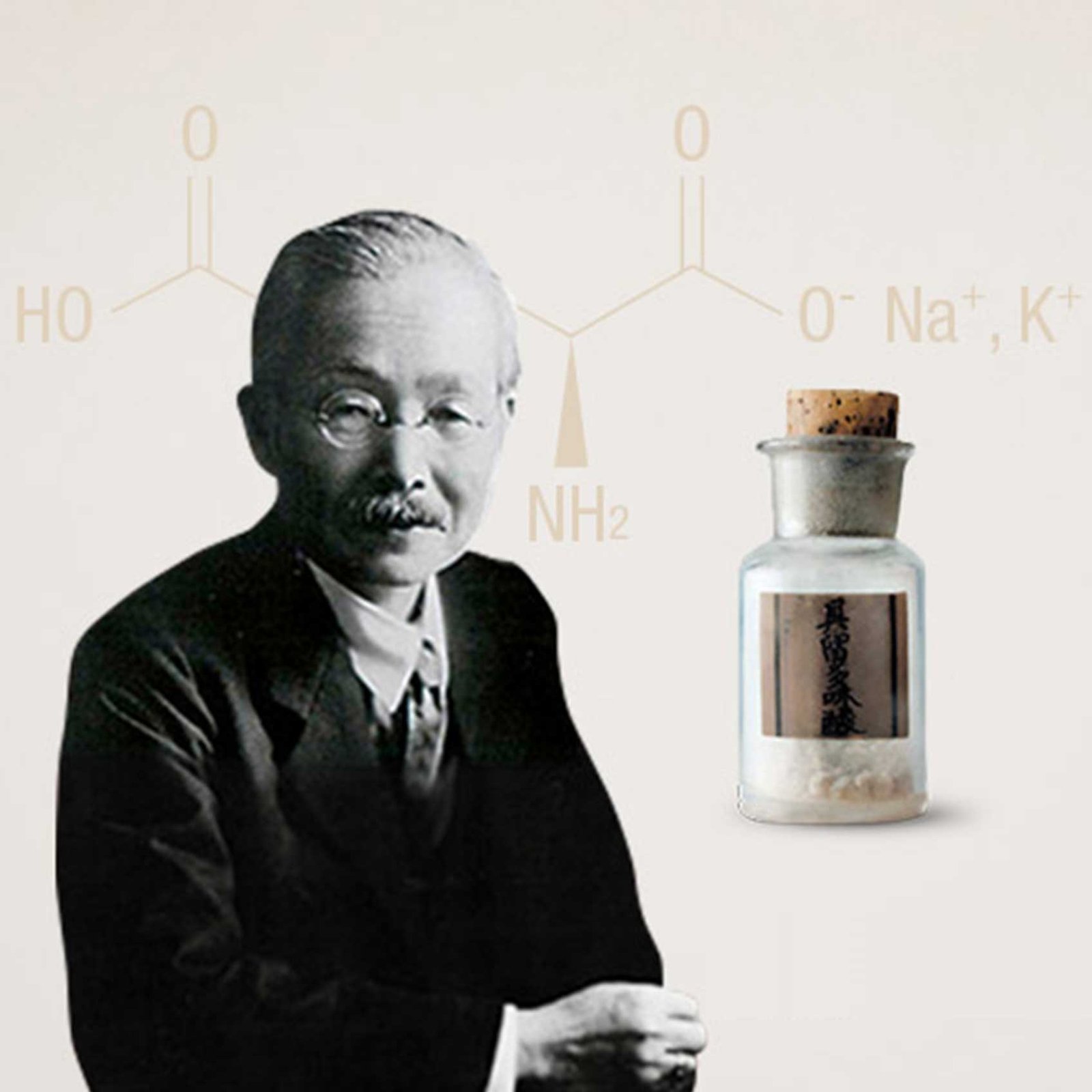 What is umami? Five facts about umami – Hiyeast