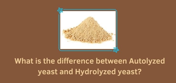 What is the difference between Autolyzed yeast and Hydrolyzed yeast
