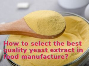 How to select the best quality yeast extract in food manufacture