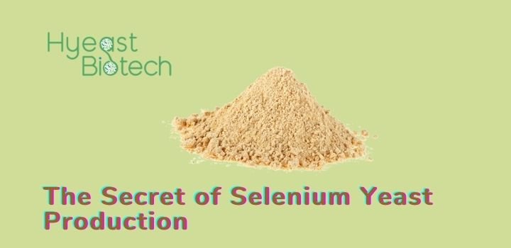 The Secret of Selenium Yeast Production